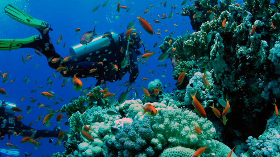 cozumel