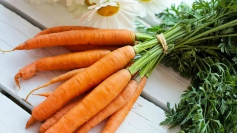 ¿Las zanahorias mejoran la vista? Esto es lo que se sabe