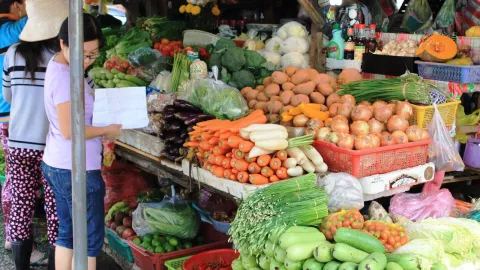 Precio del chayote en México, ¿por qué está tan caro el kilo?