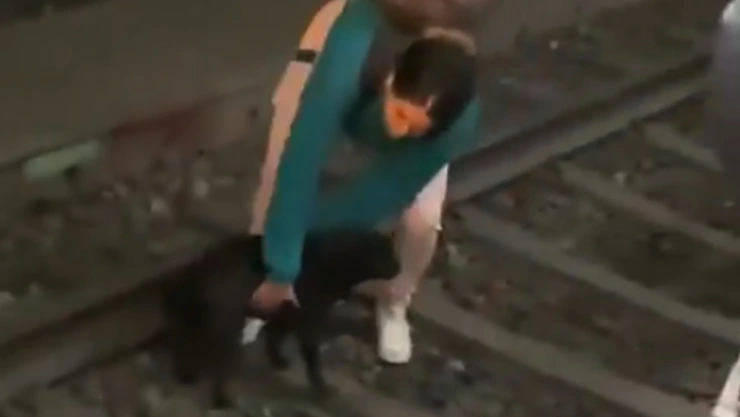 Mujer rescata perrito en el tren ligero.jpg