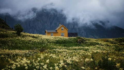 paises-menos-habitados-mundo