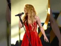 Shakira concierto.jpg