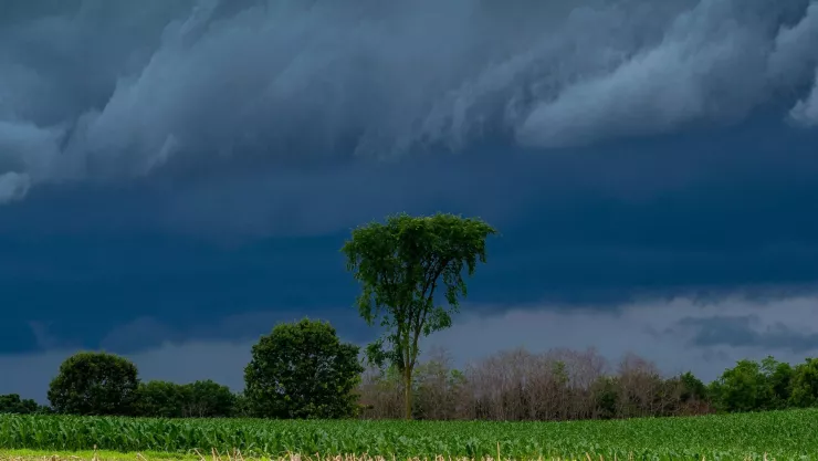 Clima en Guanajuato hoy