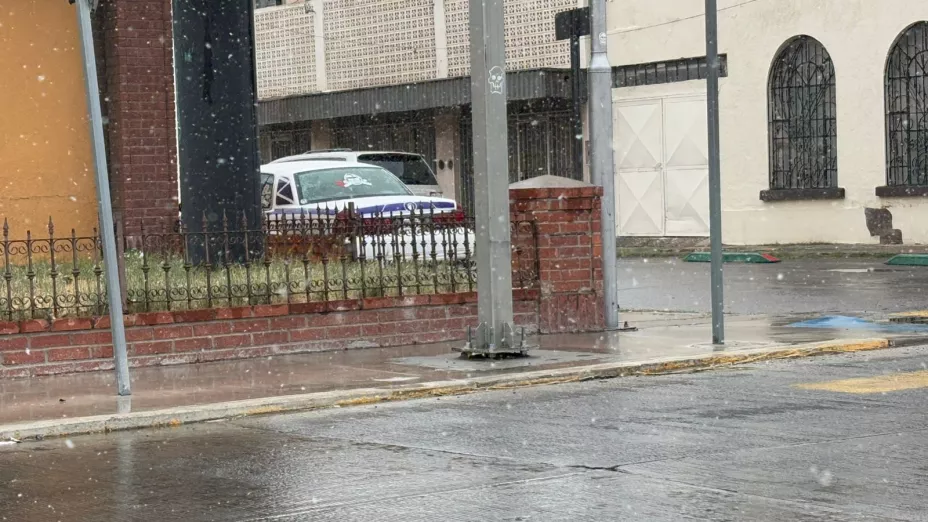 nieve