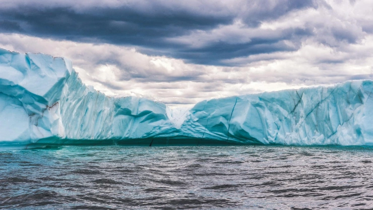 El iceberg más grande del mundo encalla frente a la isla de Georgia del Sur.jpg