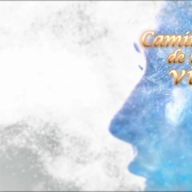 IMAGEN 13 (7).png