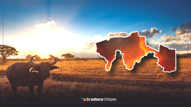 Clima en Tabasco hoy 19 de abril de 2025: SMN