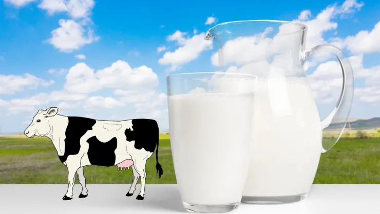 Crean la leche sintética que no necesita vacas y es idéntica