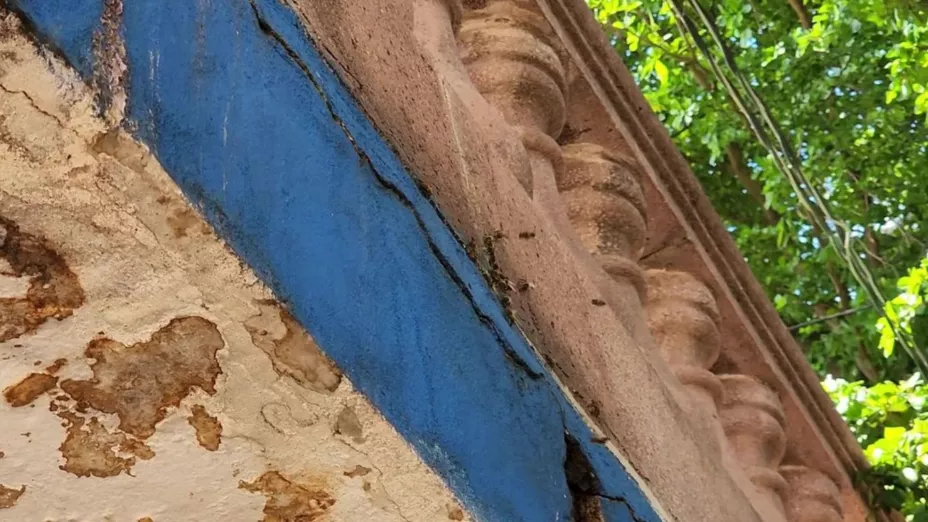 Abejas en Infonavit Barrancos, Culiacán