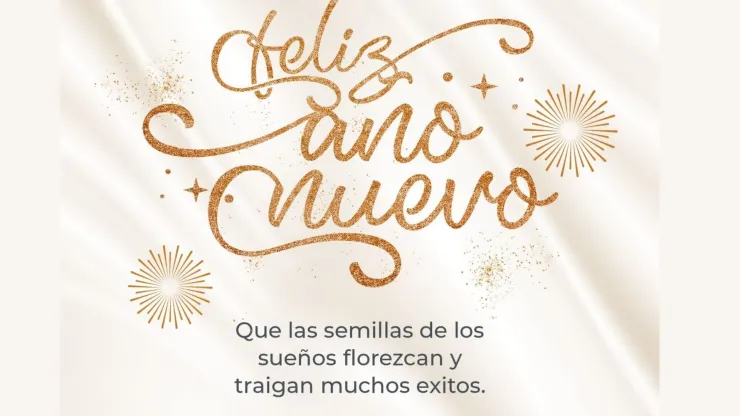 28 imágenes para desear feliz Año Nuevo a tus seres queridos: desde las más serias hasta divertidas.