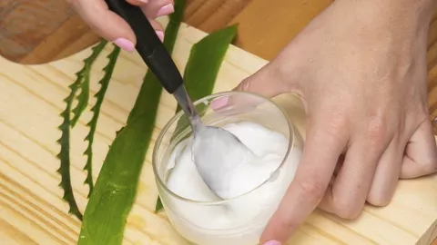 aloe vera mascarilla.jpg