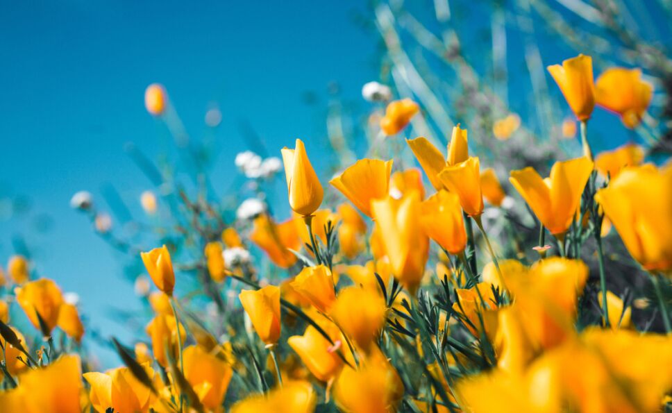 fenómenos astronómicos marzo