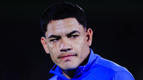 Toro Fernández