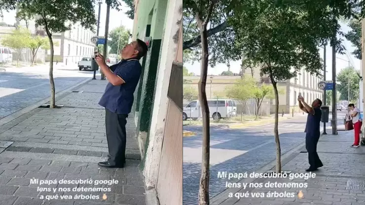 Hombre aprende a usar Google Lens para identificar árboles y enternece a las redes