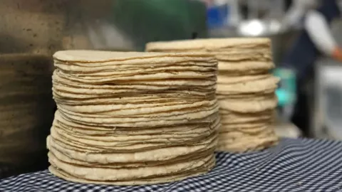 Precio del kilo de tortilla en septiembre 2024 en México