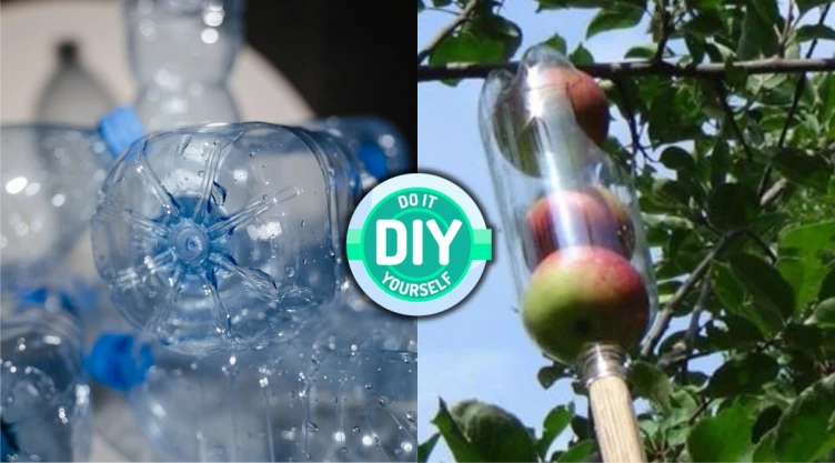 /estilo-de-vida/botellas-de-plastico-reutilizarlas-recolector-frutas-casero