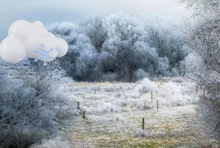 Clima en Zacatecas ¿Cuál será la temperatura mínima el 31 de diciembre 2025 con la llegada del aire ártico