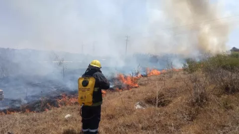 FOTOS: Incendio de pastizal sorprendió en San Jerónimo Caleras, Puebla hoy: generó gran columna de humo