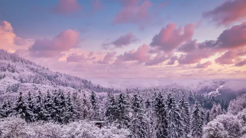 ¿Cuándo llega el aire ártico a México y cuáles estados tendrán caída de nieve los últimos días del 2025