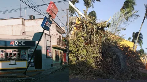 Afectaciones por surada