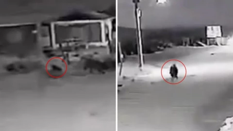 perro se transforma en humano video nahual