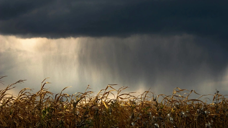 Lluvias por el día de san juan en jalisco y la agricultura.jpg