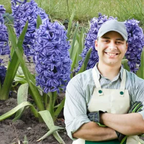 Cuál es la planta que es ideal para espacios pequeños y llena de aroma el jardín