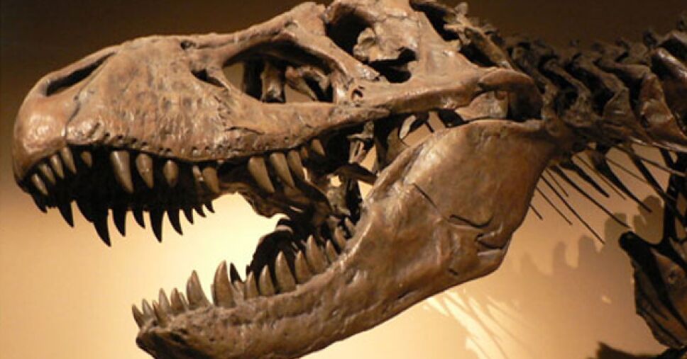 Dinosaurios