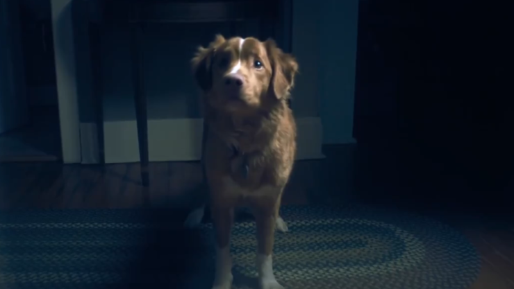 good boy-estreno.png