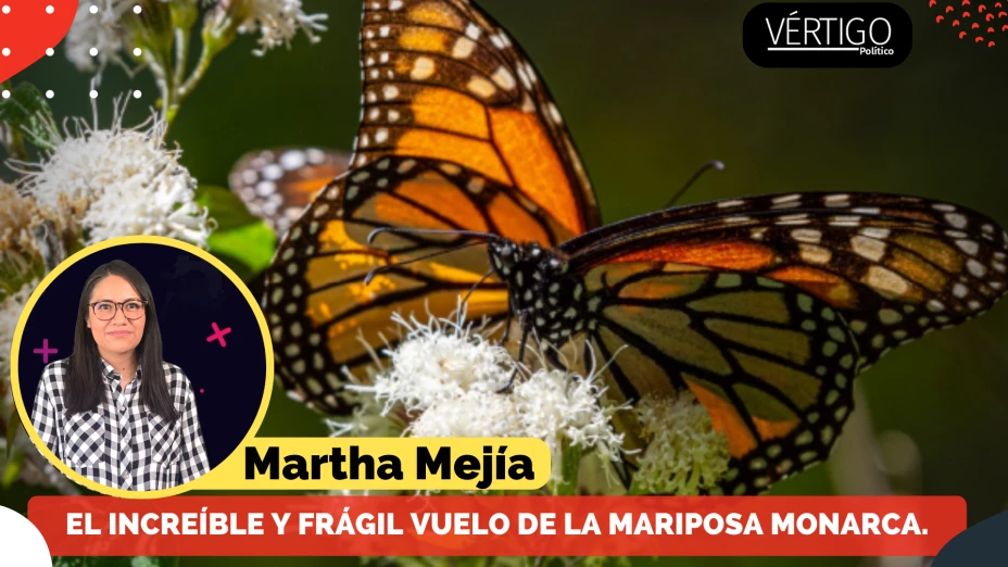 Copia de COLUMNAS (1920 × 1080 px)-23.png