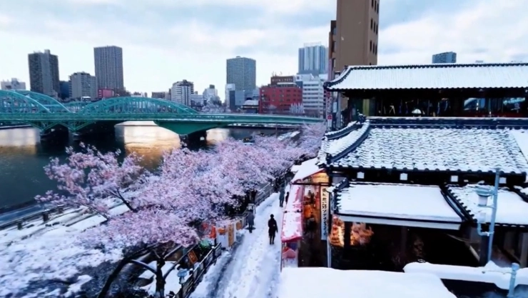 OpenAI, la creadora de ChatGPT sorprende al mundo con su nueva herramienta de IA llamada Sora