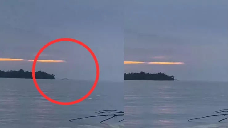 ¿Monstruo Marino en Indonesia?