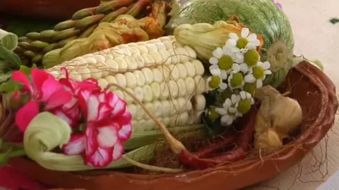 gastronomia hidalgo animales exoticos.jpg