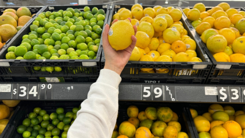 Martes de frescura Walmart hoy