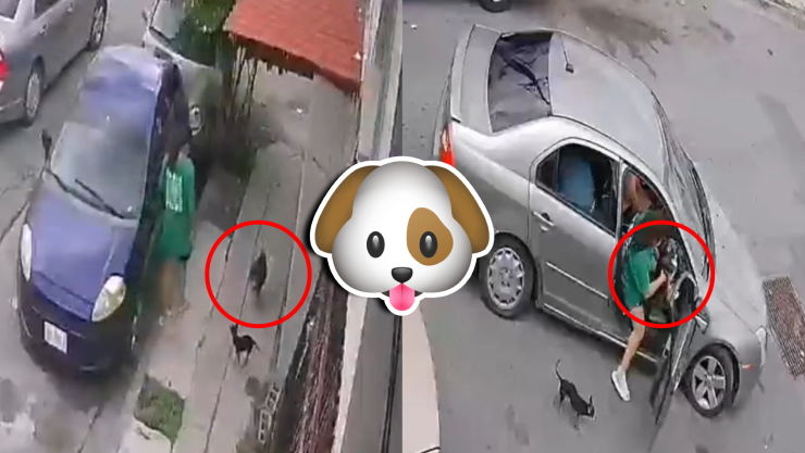 VIDEO_ ¡Exhibidos! Captan a una mujer robando un perro pomerania en NL; se llama Balú, revelan.jpg