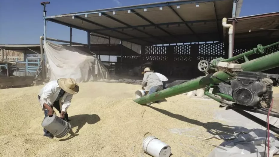 260225 AGRICULTURA AVANCES DISPE.jpg