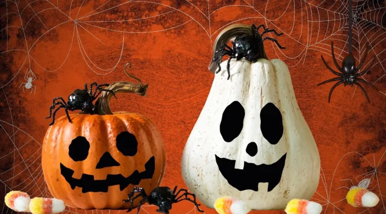 Ideas DIY 3 propuestas espeluznantes para construir arañas gigantes con tubos para Halloween.jpg