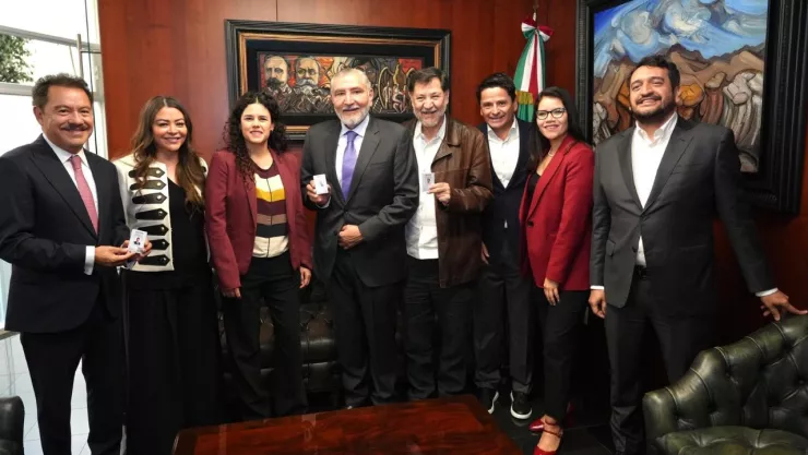 Morena en el Senado.