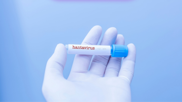 ¿Existe vacuna contra el hantavirus?