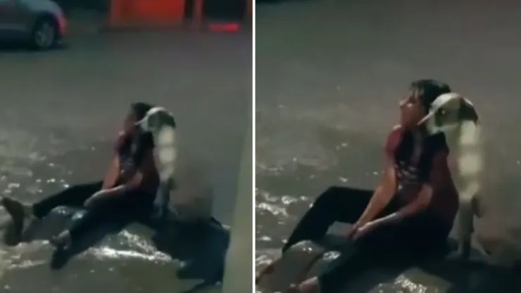 captan a perrito bajo la lluvia acompañando a una mujer que se sienta en la lluvia.jpg