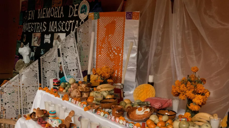 Altar de muertos para mascotas