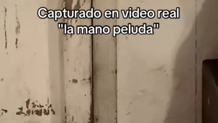 VIDEO REAL | Captan en cámara la manifestación de la “mano peluda”