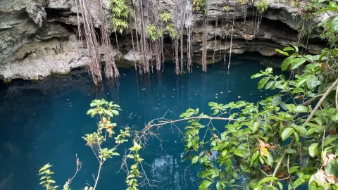 cenote yucatan.jpg