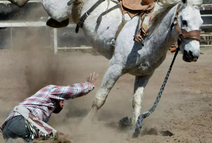 Video: ¿Karma? Joven intentó robar un caballo como broma y fue atropellado