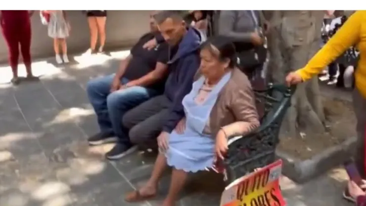 quita dolores