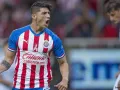 5 Alan Pulido.jpg