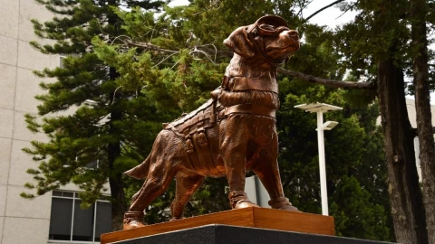 escultura perrita Frida