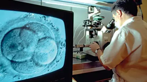 fertilización in vitro