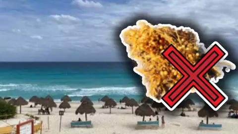 Playas libres de sargazo en Quintana Roo HOY 24 de julio de 2025: De Holbox, Cancún y hasta Tulum