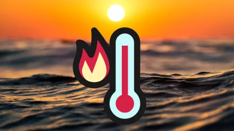 Primera ola de calor 2025